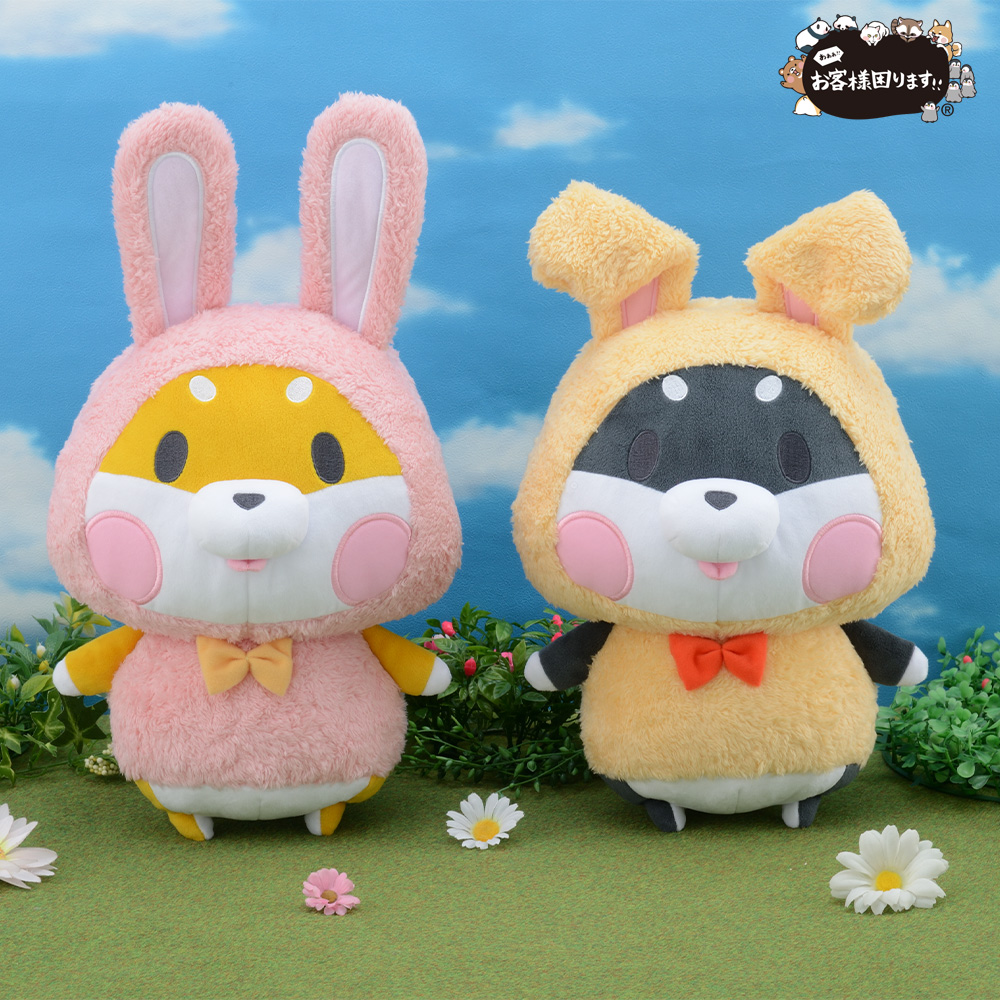 完売✦双子ワンちゃんとお散歩✦晴天の秋空の下…森の妖精