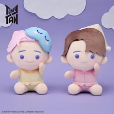 TinyTAN ほわぽて Mぬいぐるみ Sweet Dreams “RM&Jin”｜セガプラザ