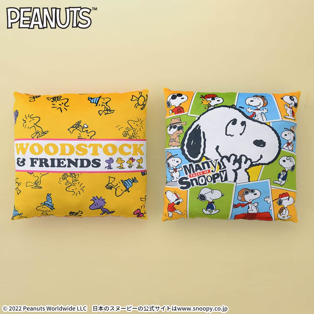 SNOOPY™ プレミアムスクエアクッション～SNOOPY・WOODSTOCK～｜セガプラザ