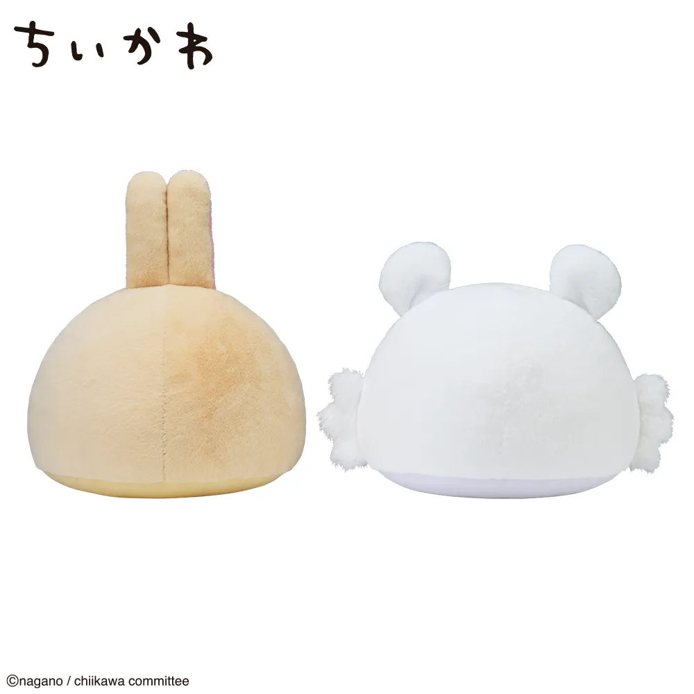 D122543_03.webp