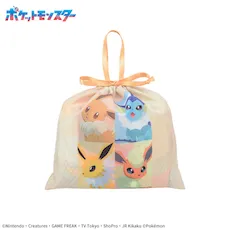 ポケットモンスター　プラチナムザッカ巾着付ブランケット～イーブイフレンズ～