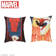 SPIDERｰMAN: BRAND NEW DAY』 ビッグアートクッション｜プライズ・くじ